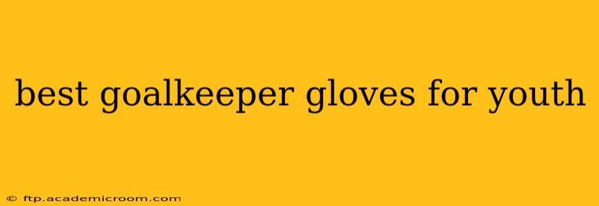 best goalkeeper gloves for youth