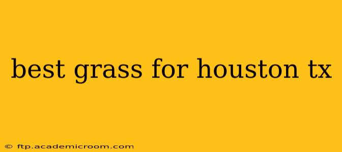 best grass for houston tx