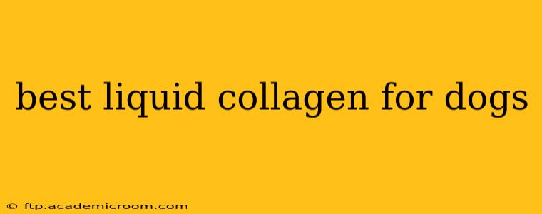 best liquid collagen for dogs