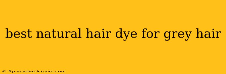 best natural hair dye for grey hair