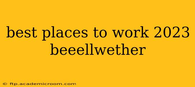 best places to work 2023 beeellwether