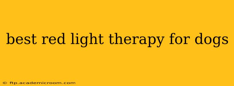 best red light therapy for dogs