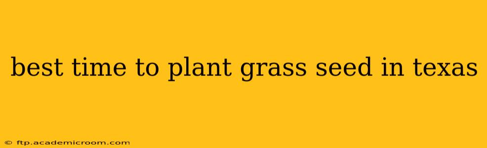 best time to plant grass seed in texas
