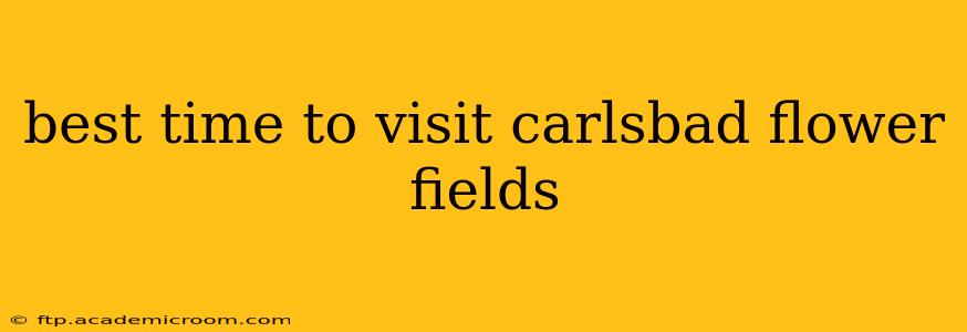 best time to visit carlsbad flower fields