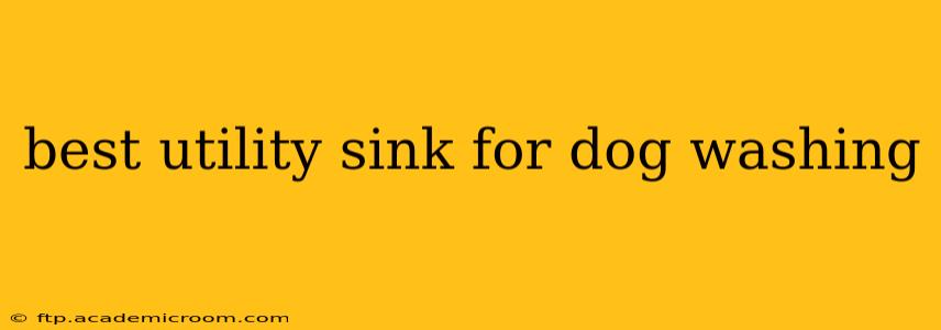 best utility sink for dog washing