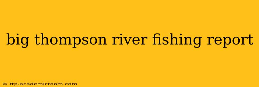 big thompson river fishing report