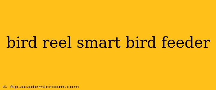 bird reel smart bird feeder