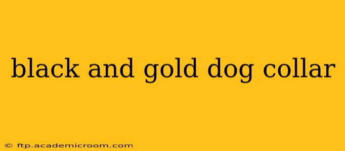 black and gold dog collar