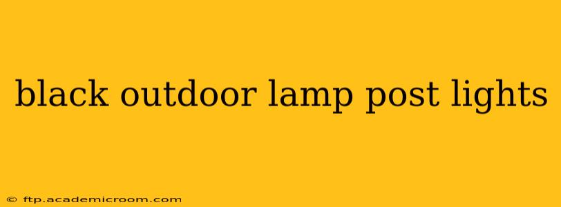 black outdoor lamp post lights