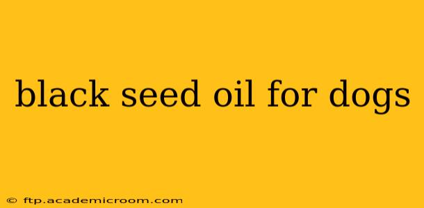 black seed oil for dogs