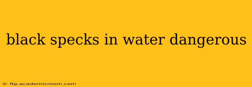 black specks in water dangerous