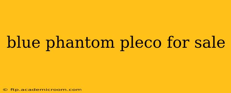 blue phantom pleco for sale