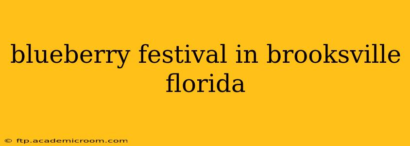 blueberry festival in brooksville florida