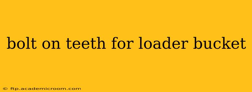 bolt on teeth for loader bucket