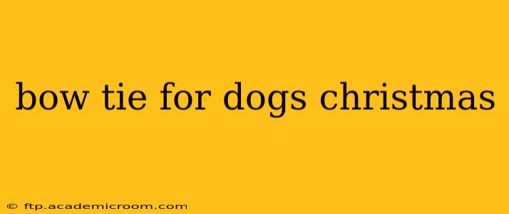 bow tie for dogs christmas