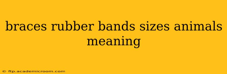 braces rubber bands sizes animals meaning