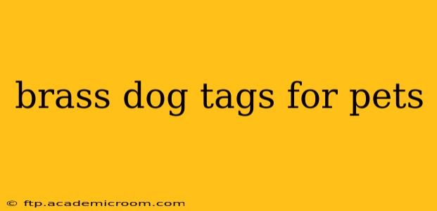 brass dog tags for pets