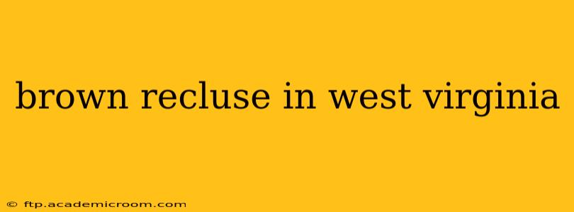 brown recluse in west virginia