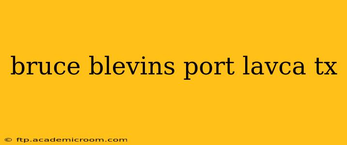 bruce blevins port lavca tx