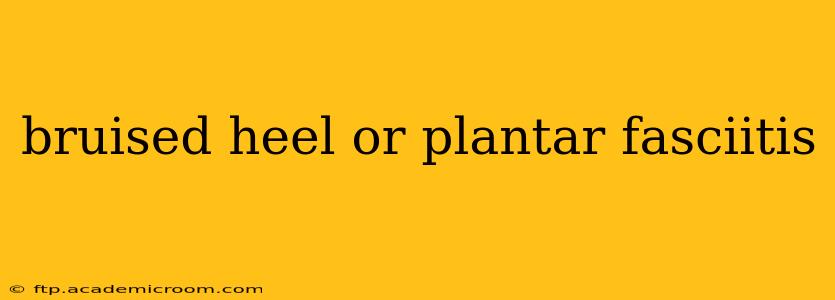 bruised heel or plantar fasciitis