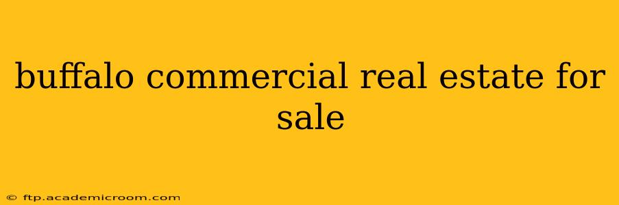 buffalo commercial real estate for sale