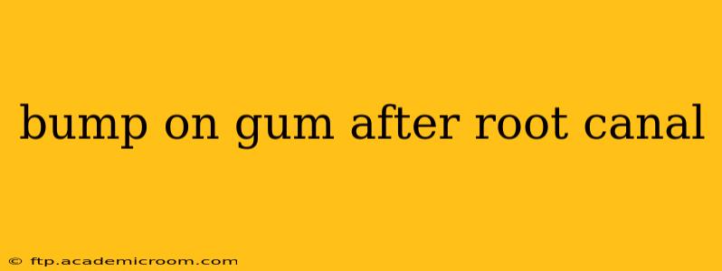 bump on gum after root canal