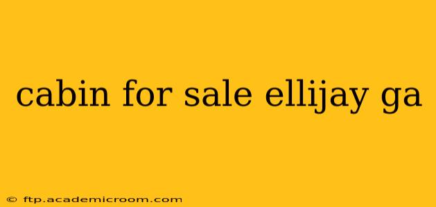 cabin for sale ellijay ga