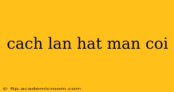 cach lan hat man coi