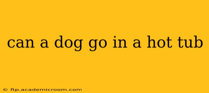can a dog go in a hot tub