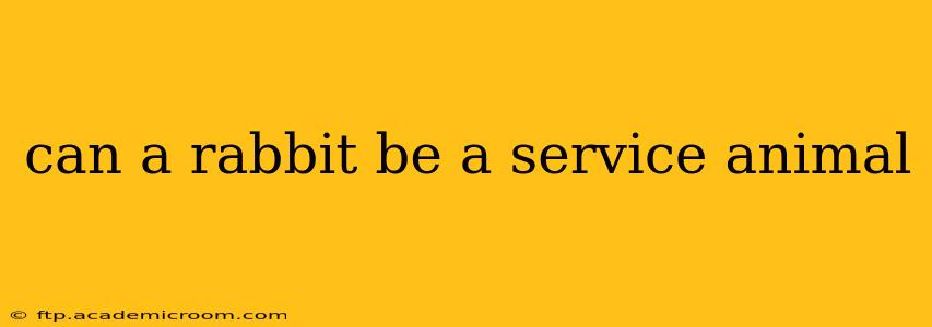 can a rabbit be a service animal