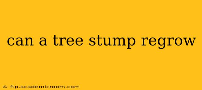 can a tree stump regrow