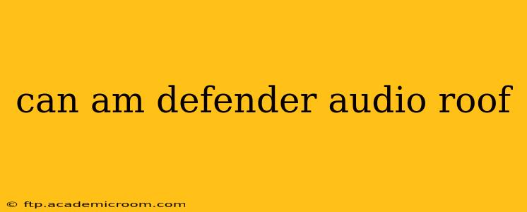can am defender audio roof