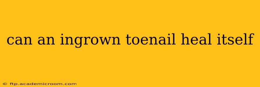 can an ingrown toenail heal itself