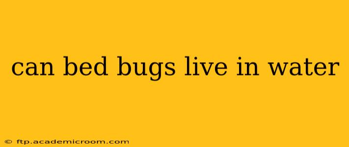 can bed bugs live in water