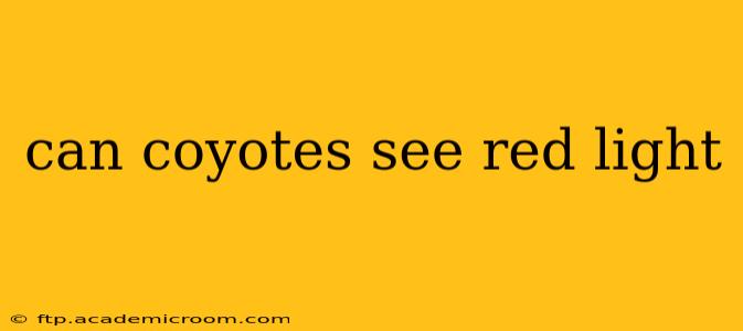 can coyotes see red light