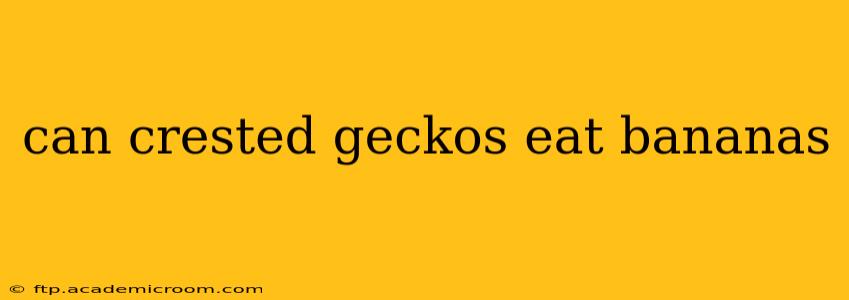 can crested geckos eat bananas