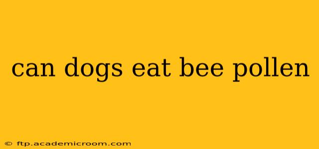 can dogs eat bee pollen