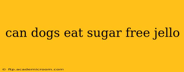can dogs eat sugar free jello