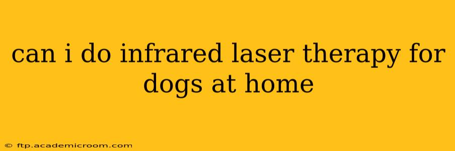 can i do infrared laser therapy for dogs at home