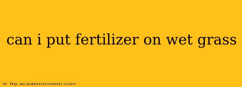can i put fertilizer on wet grass