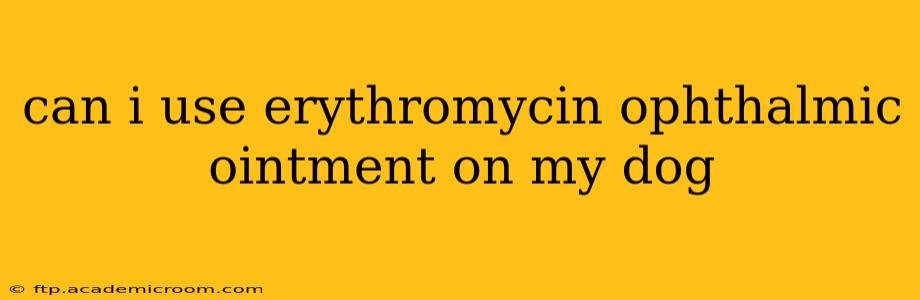 can i use erythromycin ophthalmic ointment on my dog
