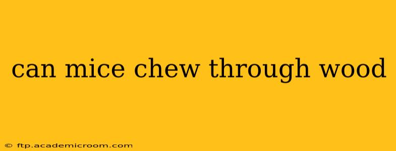 can mice chew through wood