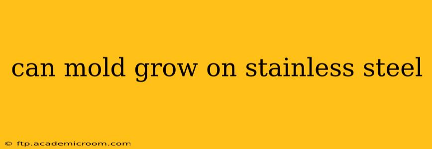 can mold grow on stainless steel