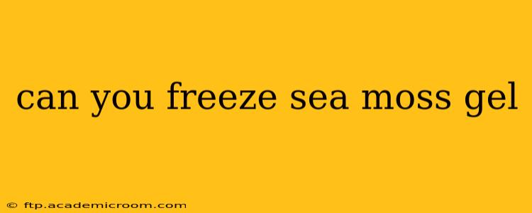 can you freeze sea moss gel