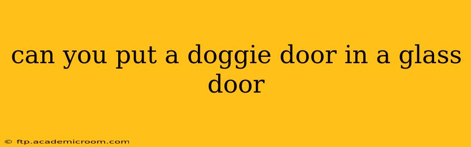 can you put a doggie door in a glass door