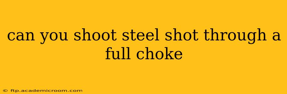can you shoot steel shot through a full choke