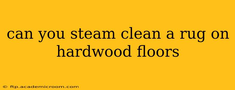 can you steam clean a rug on hardwood floors