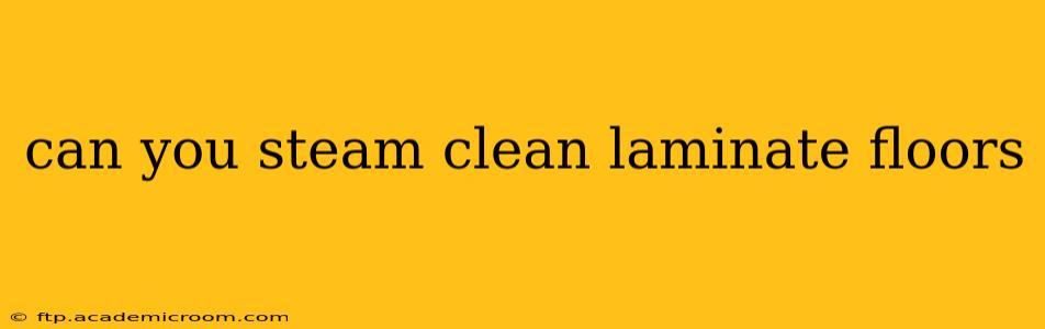 can you steam clean laminate floors