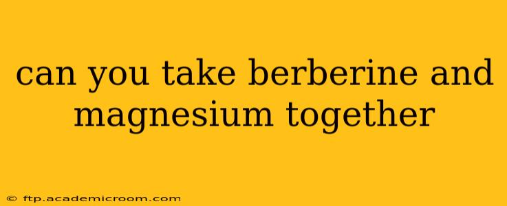 can you take berberine and magnesium together