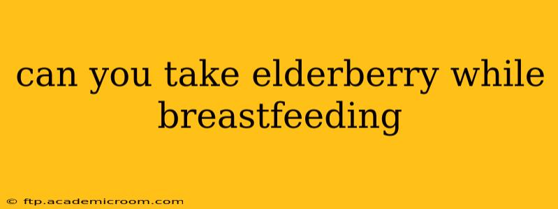 can you take elderberry while breastfeeding